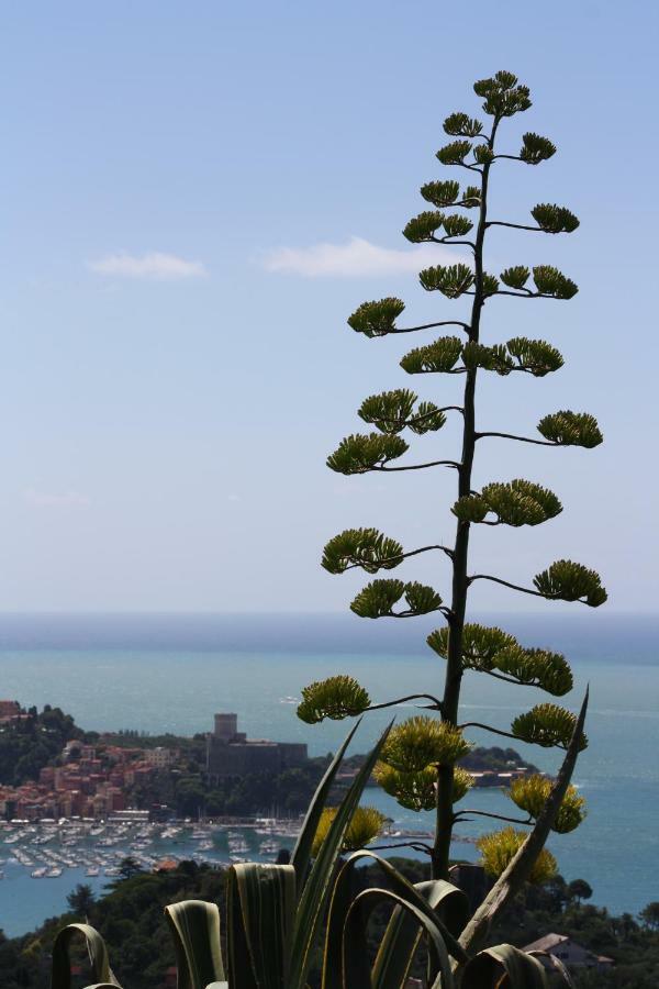 Agave Di Lerici别墅 外观 照片